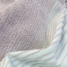 TwoTowel